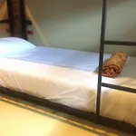 Pi Coco Hostel