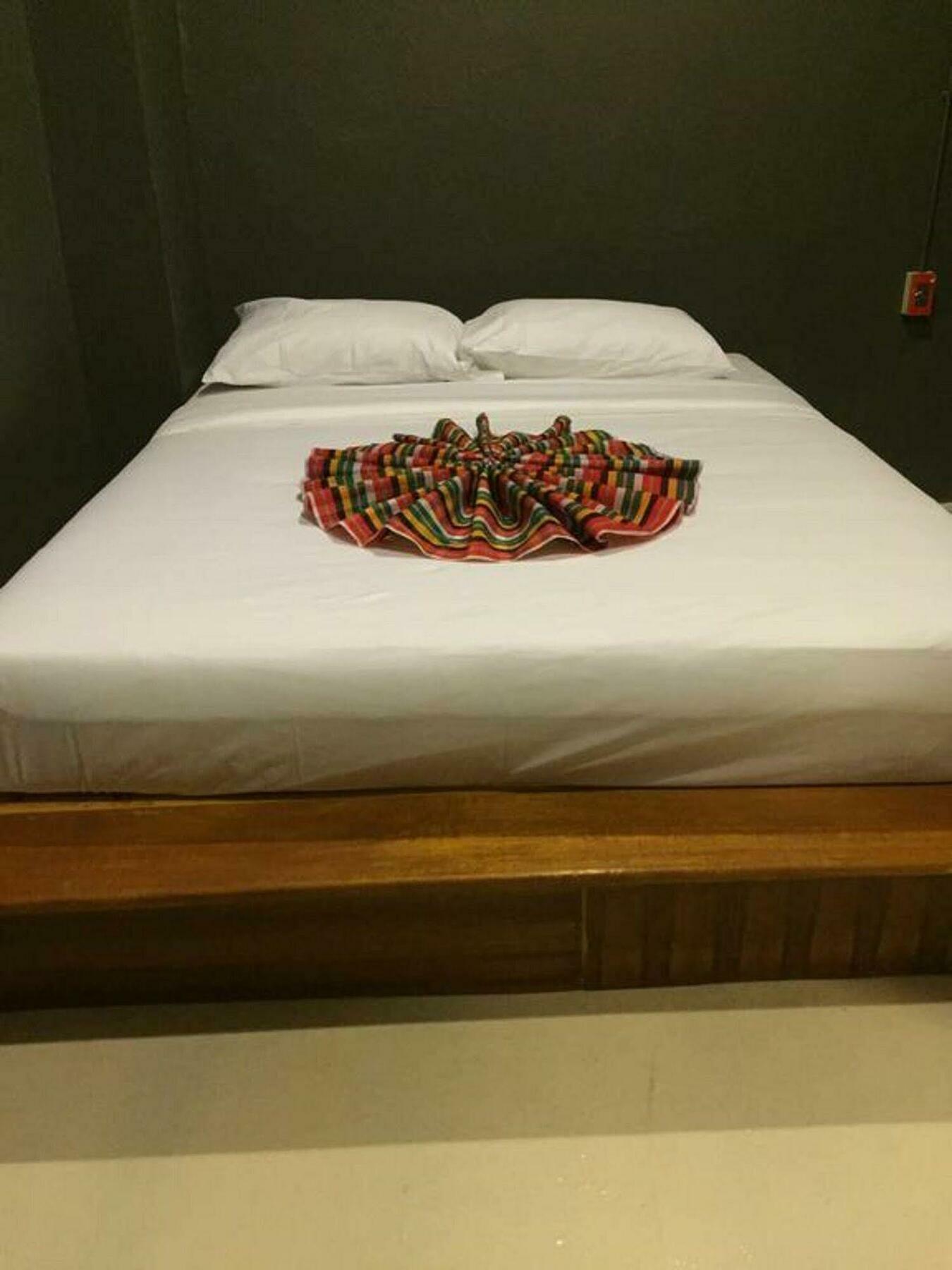 Hostel Pi Coco *