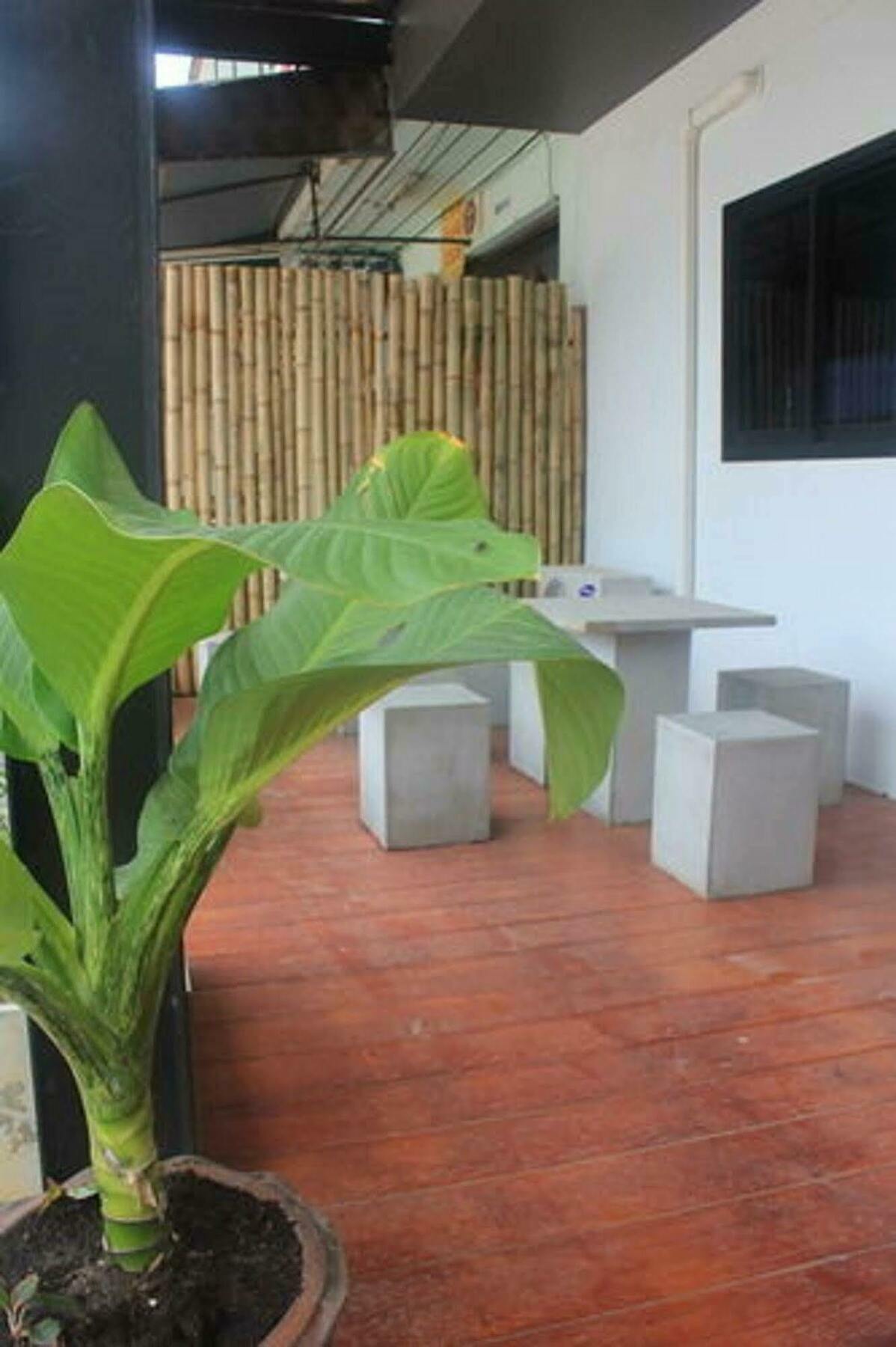 Pi Coco